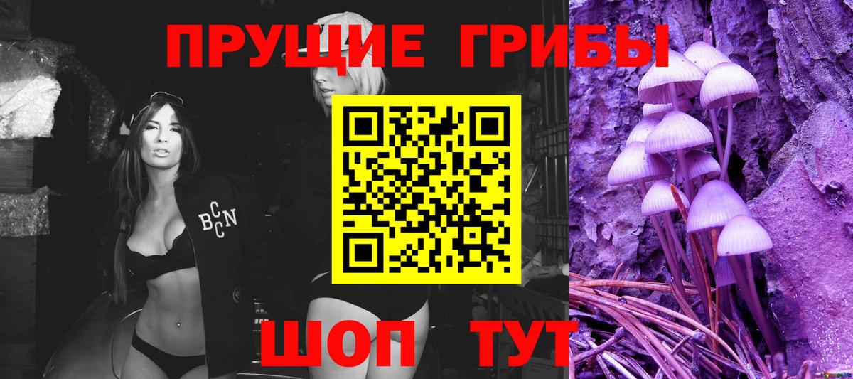 Кольчугино  Псилоцибиновые грибы GOLDEN TEACHER  Вход с VPN 