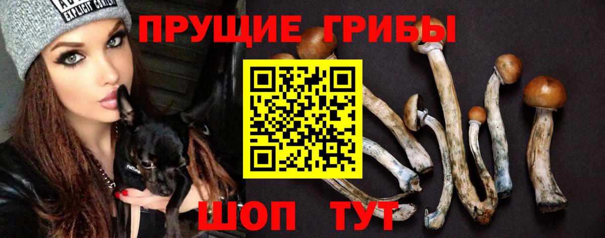 Псилоцибиновые грибы мухоморы Кольчугино